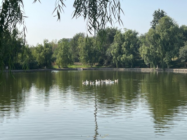 W020250909625830854934.jpg