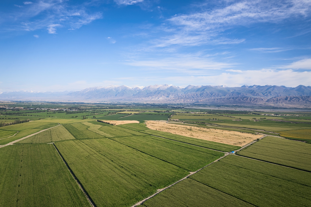 VCG211586175719_.jpg