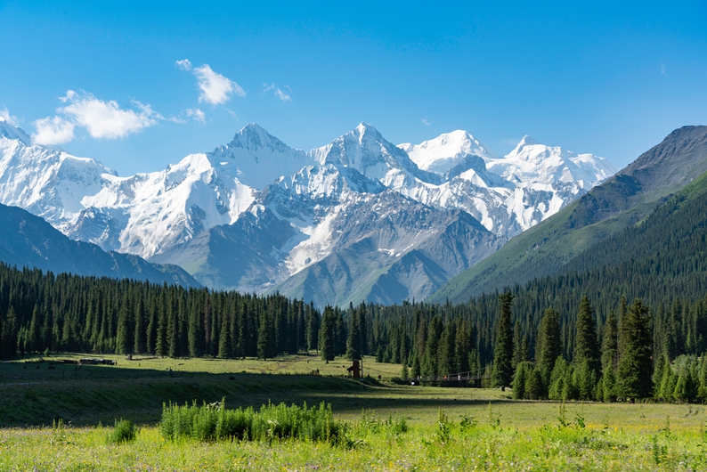 VCG211400565972_.jpg